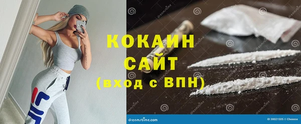 дживик Абаза