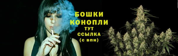 спиды Новодвинск