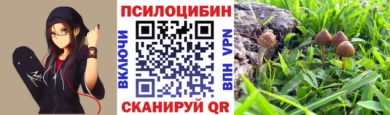 omg маркетплейс  Ефремов  Псилоцибиновые грибы прущие грибы 
